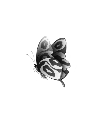 IMG_8296.PNG